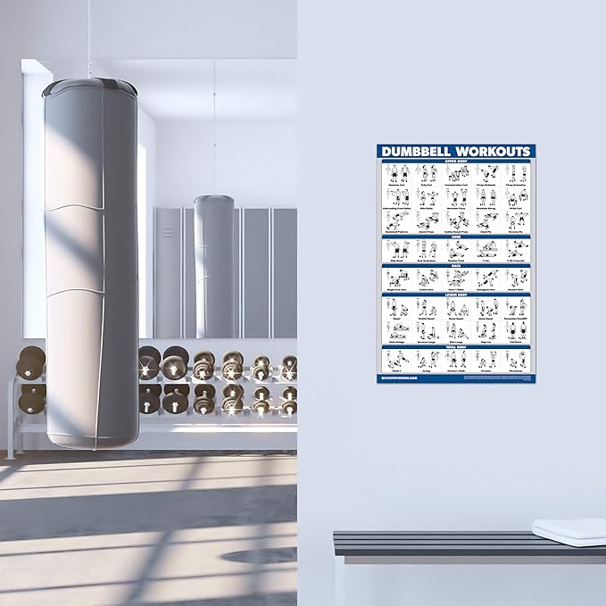 4 Pack - Cable Machine Workout Posters Volume 1 & 2 + Dumbbell Exercises + Barbell Exercises (LAMINATED, 18" x 24")