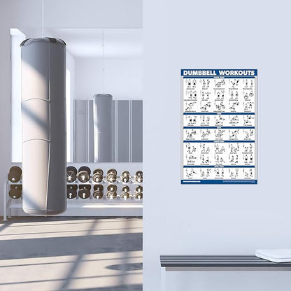4 Pack - Cable Machine Workout Posters Volume 1 & 2 + Dumbbell Exercises + Barbell Exercises (LAMINATED, 18" x 24")
