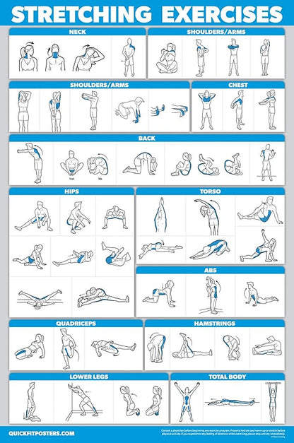 10 Pack - Exercise Workout Poster Set - Cable Machine, Dumbbell, Suspension, Kettlebell, Resistance Bands, Stretching, Bodyweight, Barbell, Yoga Poses, Exercise Ball (LAMINATED, 18" x 24")