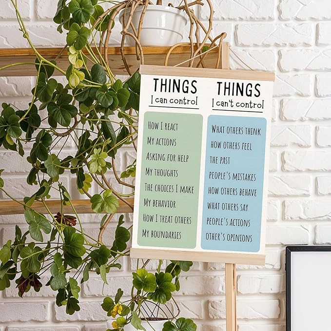 DNEULYR Things I Can Control Mental Health Poster Hanger Frame, Wall Decor Art Banner for Classroom School Counselor Office Therapy Decor, 12.5x17 Inch