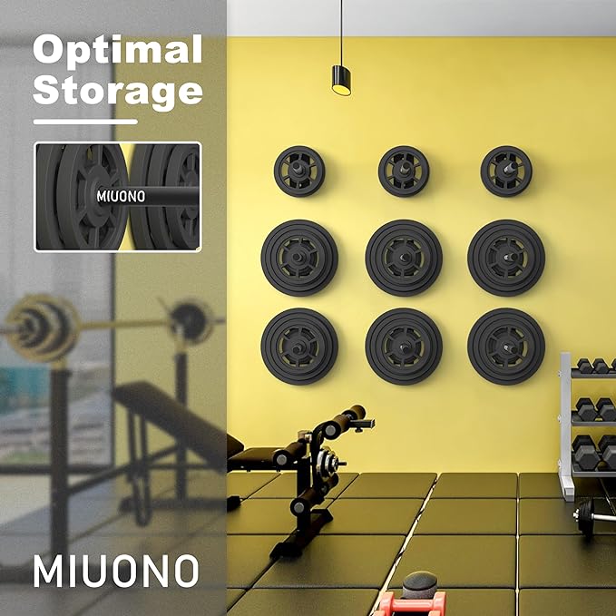Weight Plate Holder, Wall Mounted Weight Rack Storage for Weight Plates, Home Gym Organizer