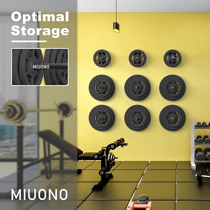 Weight Plate Holder, Wall Mounted Weight Rack Storage for Weight Plates, Home Gym Organizer