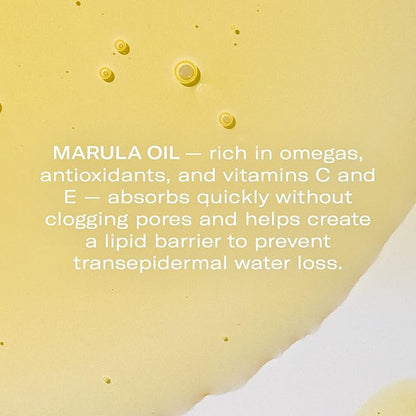 Odacité Anti Aging Serum Concentrate with Marula + Neroli, Elasticity Glow Recipe - Facial Oil for Hydration, Skin Texture & Visibly Smoother and More Supple Skin, 0.17 fl. oz