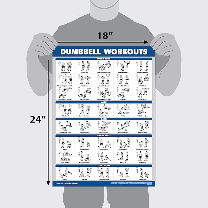 Palace Learning 15 Pack - Exercise Poster Set: Dumbbell, Suspension, Kettlebell, Resistance Bands, Stretching, Bodyweight, Barbell, Yoga, Battle Rope, Exercise Ball, Muscular, Medicine Ball