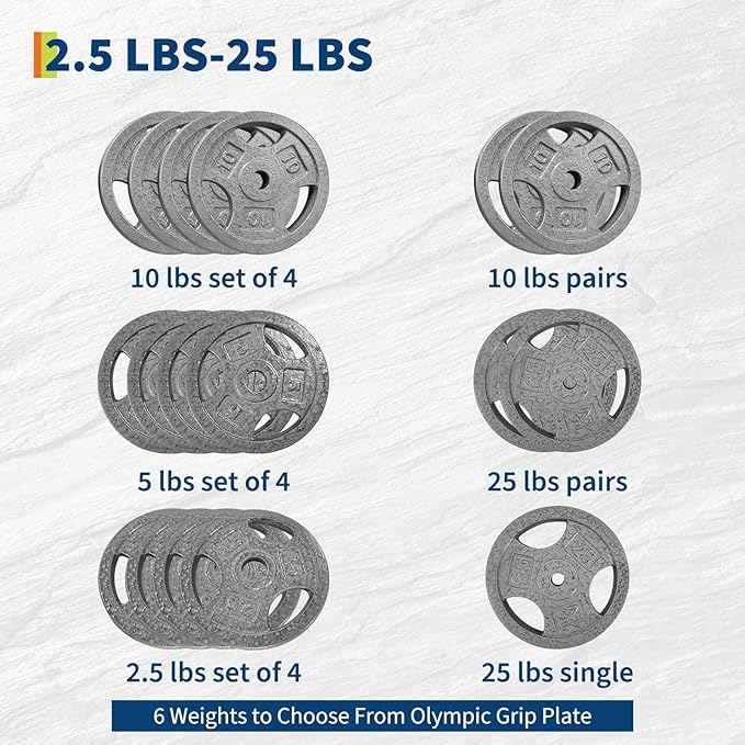 Cast Iron Weight Plates with Triple Grip Handles, 1 inch Standard Weights Plates with Anti-Rust Coating for Home Gym Strength Training, Weightlifting & Muscle Toning