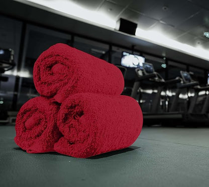 Utopia Towels 24 Pack Cotton Washcloths Set, 100% Ring Spun Cotton, Premium Quality Flannel Face Cloths, Highly Absorbent and Soft Feel Fingertip Towels, Red