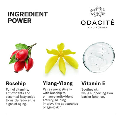 Odacité Anti Aging Serum Concentrate with Rosehip + Ylang-Ylang - Lightweight Facial Serum For Mature Skin, Fine Lines, Nourishes for Look of Plump, Youthful Skin - 0.17 Fl. Oz