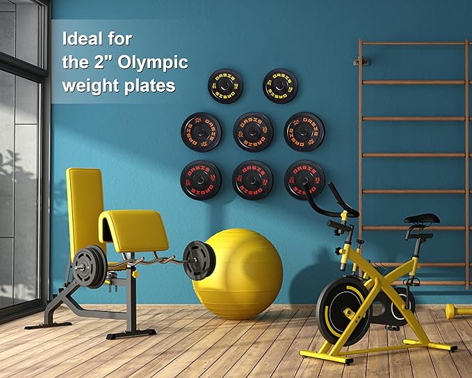 Weight Plate Holder, Wall Mounted Weight Rack Storage for Weight Plates, Home Gym Organizer