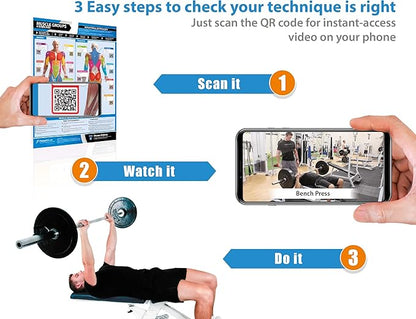 Muscle Groups & Exercise Poster for Home Gym Decor – Laminated Workout Chart with Free Video Training – Fitness Room Decor for Men and Women by Posterfit