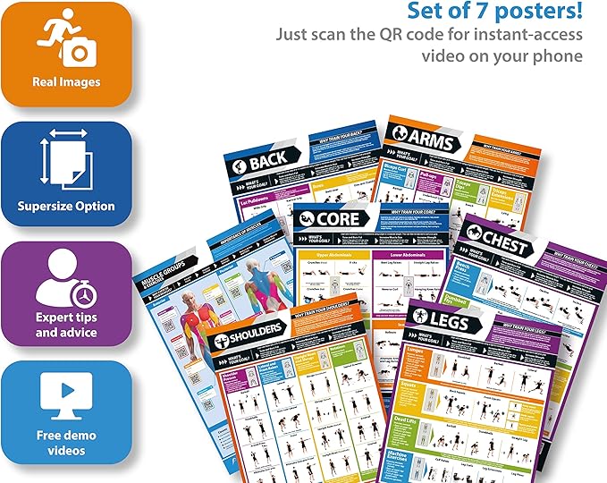 Muscle Groups & Exercise Poster for Home Gym Decor – Laminated Workout Chart with Free Video Training – Fitness Room Decor for Men and Women by Posterfit