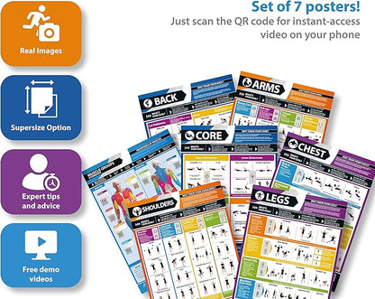 Muscle Groups & Exercise Poster for Home Gym Decor – Laminated Workout Chart with Free Video Training – Fitness Room Decor for Men and Women by Posterfit