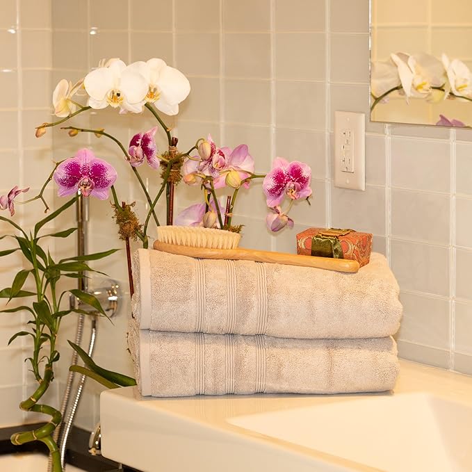 Mosobam Luxury Turkish Set of 2 Bath Towels 30X58 Light Grey (Gray) 700 GSM Bamboo Viscose & Aegean Turkish Combed Cotton