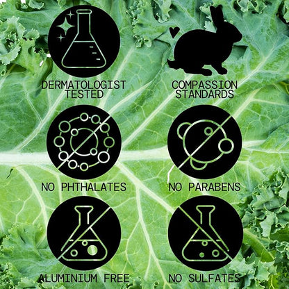 Pacifica Kale Yeah! Redness Rehab Serum – Niacinamide & Super Greens Face Serum to Calm Redness, Minimize Pores & Oil, Soothing Anti-Redness for Oily/Combination Skin Vegan Dermatologist Tested