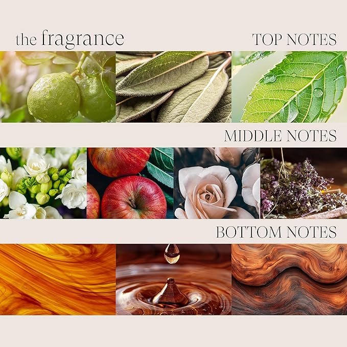 L'ANZA Healing Style Smoother Balm, New & Improved Keratin Hair Treatment & Hair Straightener Serum, Heat Protection & Anti Frizz Formula, for Curly, Frizzy & Wavy Locks