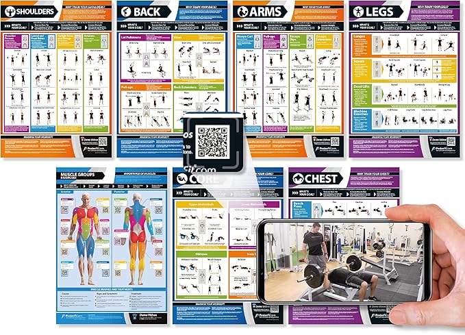 Muscle Groups & Exercise Poster for Home Gym Decor – Laminated Workout Chart with Free Video Training – Fitness Room Decor for Men and Women by Posterfit