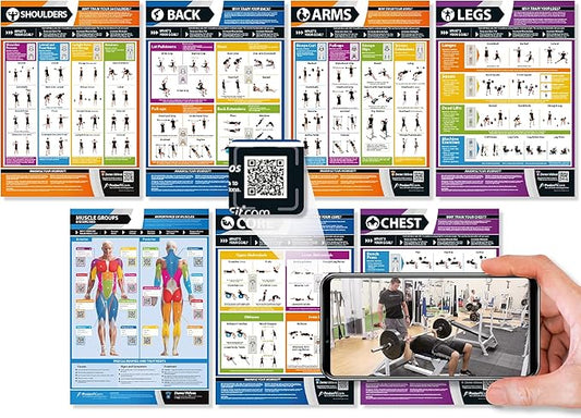 Muscle Groups & Exercise Poster for Home Gym Decor – Laminated Workout Chart with Free Video Training – Fitness Room Decor for Men and Women by Posterfit