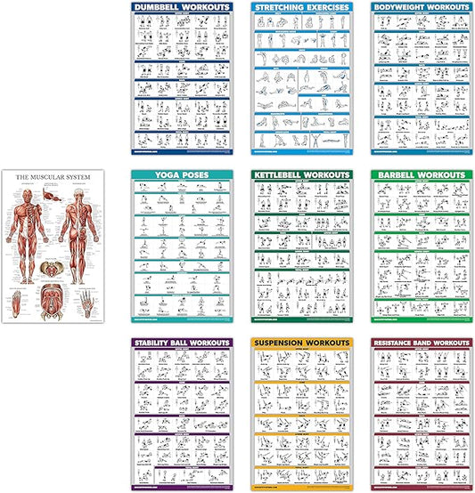 10 Pack - Exercise Workout Poster Set - Dumbbell, Suspension, Kettlebell, Resistance Bands, Stretching, Bodyweight, Barbell, Yoga Poses, Exercise Ball, Muscular System (PAPER, NON LAMINATED,18" x 24")