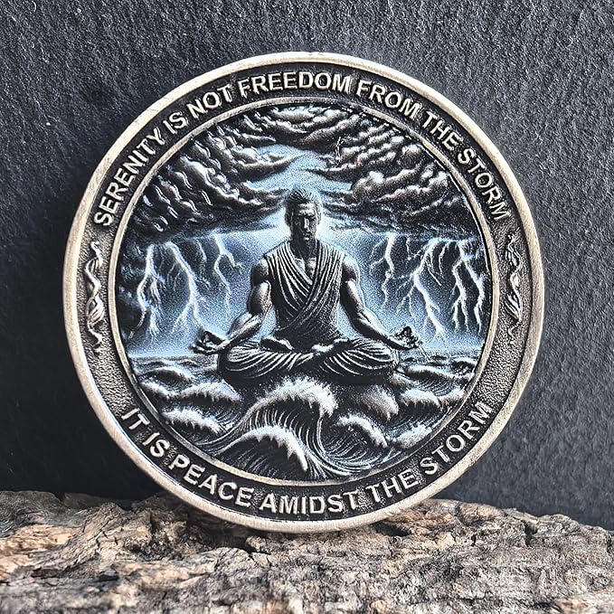 Serenity Peace Within The Storm Sobriety Chip AA Medallion with Serenity Prayer Perfect for AA Recovery and Motivation (Single Coin)