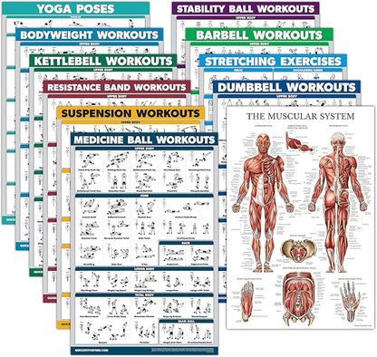 Palace Learning 11 Pack - Exercise Poster Set: Dumbbell, Suspension, Kettlebell, Resistance Bands, Stretching, Bodyweight, Barbell, Yoga, Exercise Ball, Muscular System, Medicine Ball