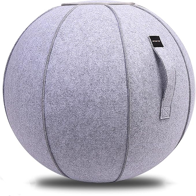 65cm Sitting Ball Chair for Office, Dorm, and Home, Pilates Exercise Yoga Ball with Cover, Lightweight Self-Standing Ergonomic Posture Activating Exercise Ball Solution with Handle and Pump