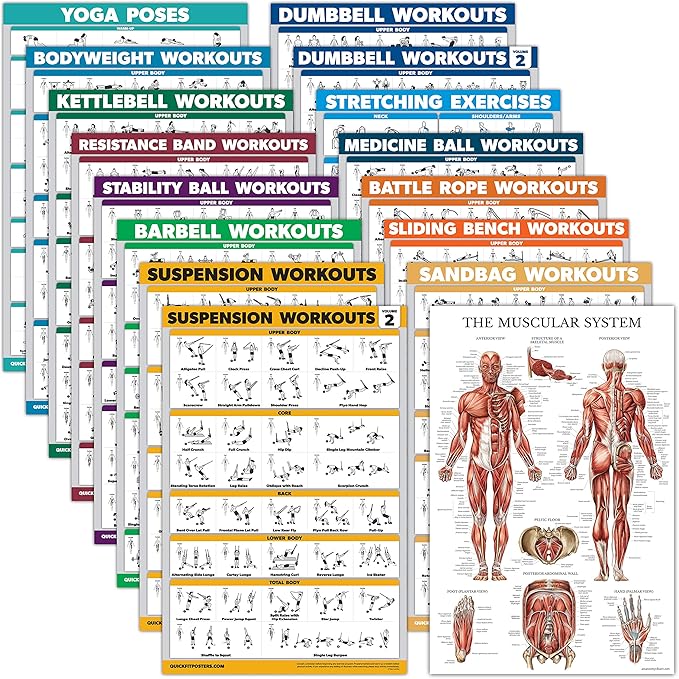 Palace Learning 16 Pack - Exercise Poster Set: Dumbbell, Suspension, Kettlebell, Resistance Bands, Medicine Ball, Battle Rope, Stretching, Bodyweight, Barbell, Yoga, Exercise Ball, Muscular