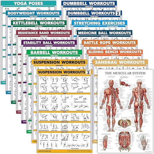 Palace Learning 16 Pack - Exercise Poster Set: Dumbbell, Suspension, Kettlebell, Resistance Bands, Medicine Ball, Battle Rope, Stretching, Bodyweight, Barbell, Yoga, Exercise Ball, Muscular