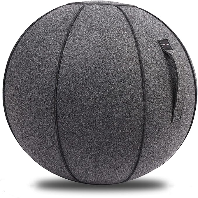 65cm Sitting Ball Chair for Office, Dorm, and Home, Pilates Exercise Yoga Ball with Cover, Lightweight Self-Standing Ergonomic Posture Activating Exercise Ball Solution with Handle and Pump