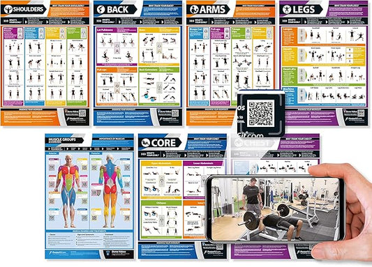 Muscle Groups & Exercise Poster for Home Gym Decor – Laminated Workout Chart with Free Video Training – Fitness Room Decor for Men and Women by Posterfit