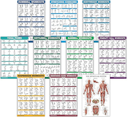 10 Pack - Exercise Workout Poster Set - Dumbbell, Suspension, Kettlebell, Resistance Bands, Stretching, Bodyweight, Barbell, Yoga Poses, Exercise Ball, Muscular System Chart (LAMINATED,18" x 24")